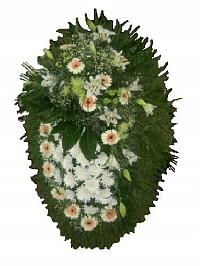 Венок живой ВЖ-12 Траурный венок для похорон из живых цветов Лилия, хризантема
 